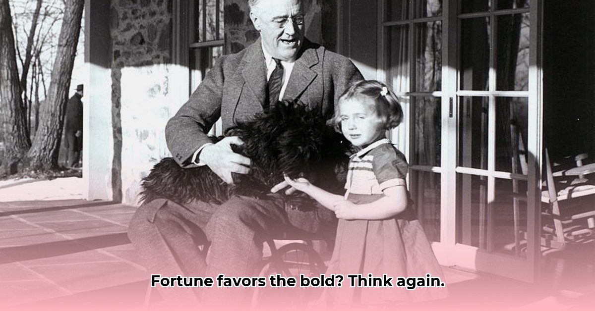 fortis-fortuna-adiuvat-meaning